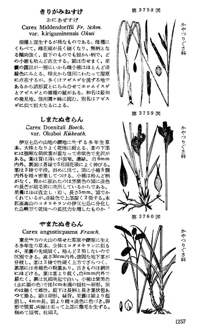 植物図鑑