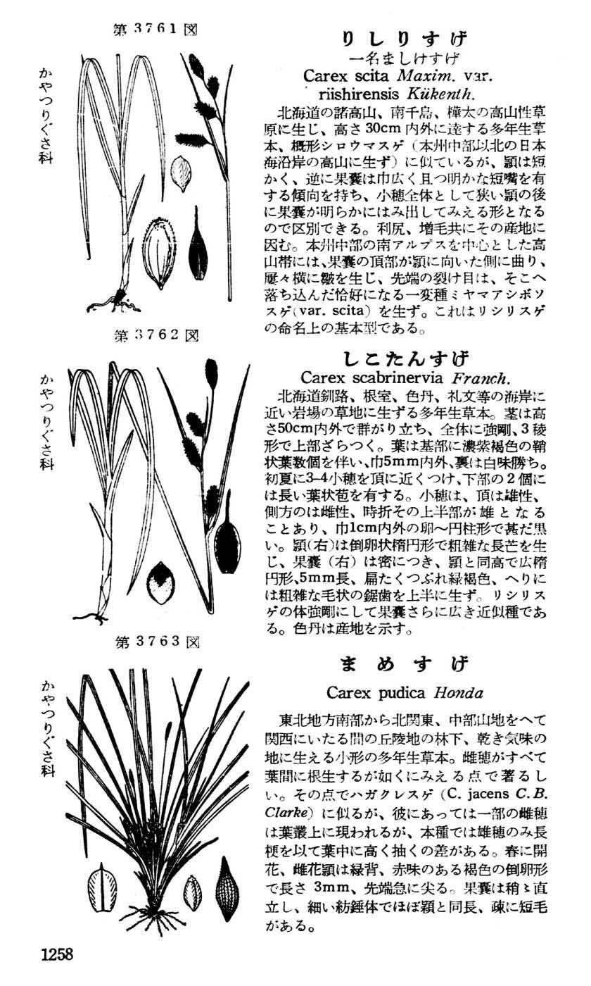 植物図鑑