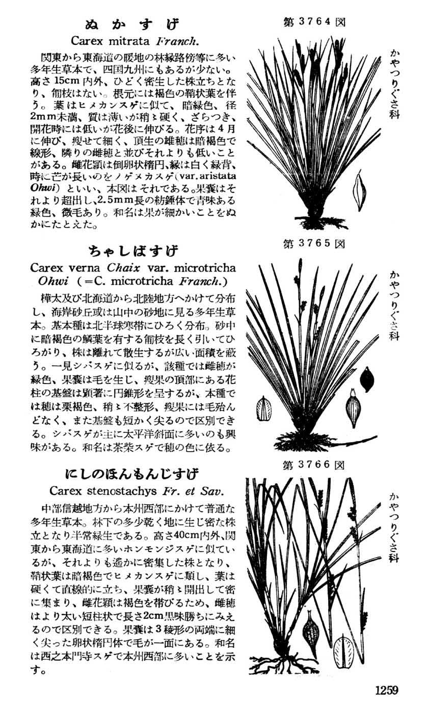 植物図鑑