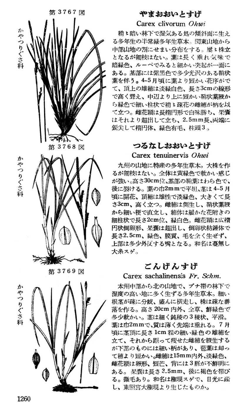 植物図鑑