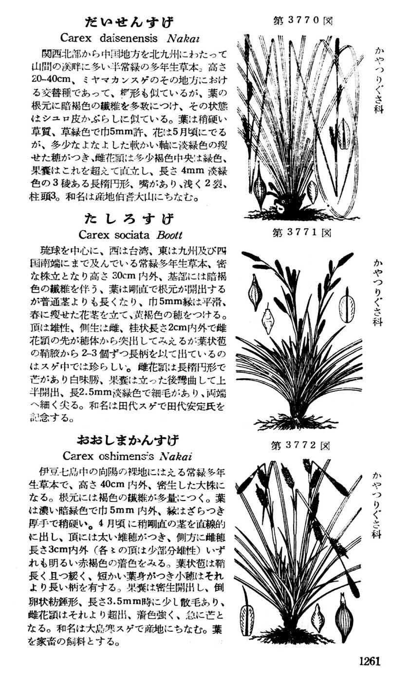 植物図鑑