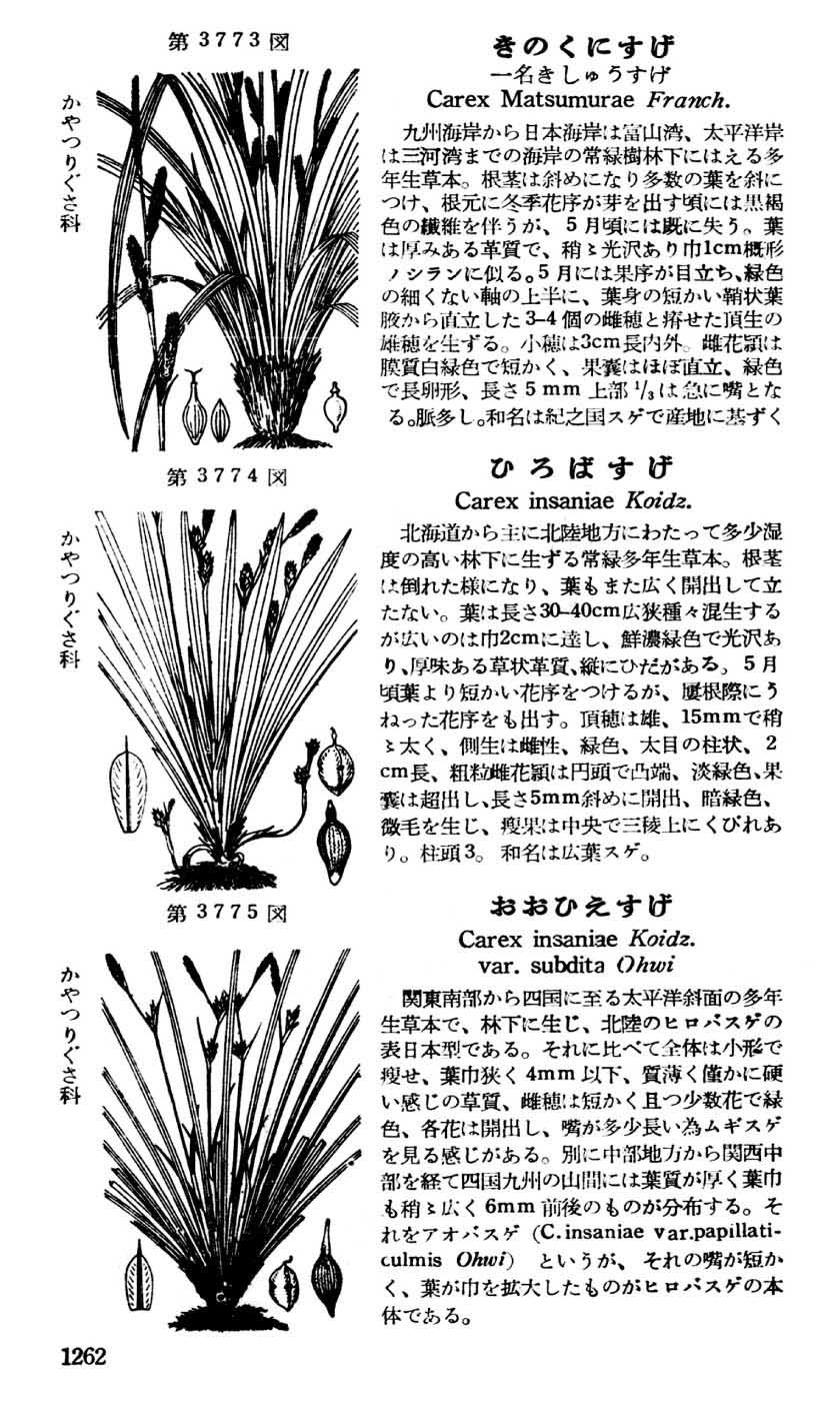 植物図鑑