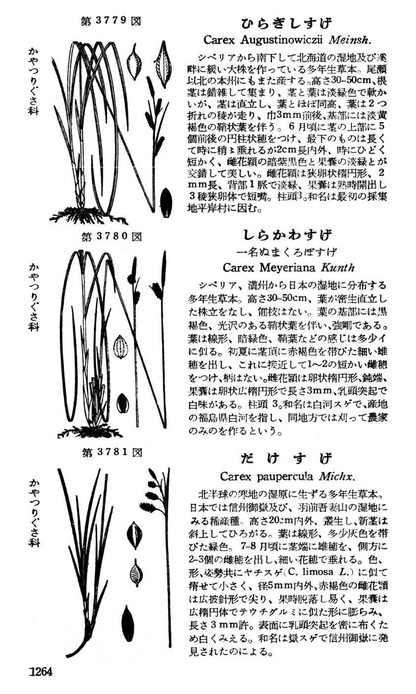 植物図鑑