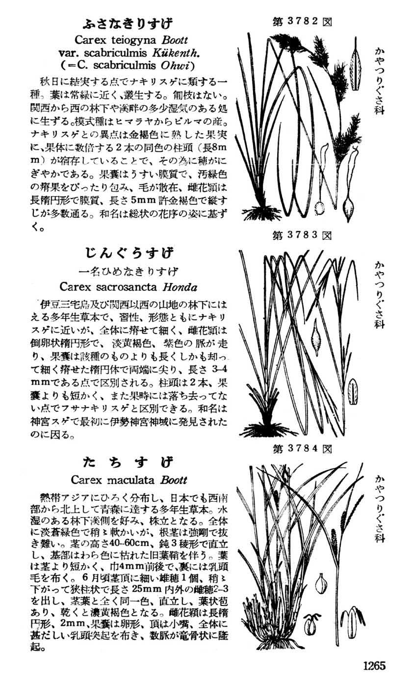 植物図鑑