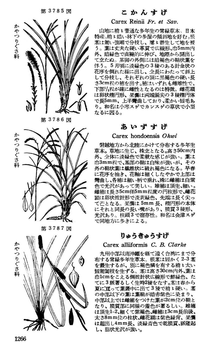 植物図鑑