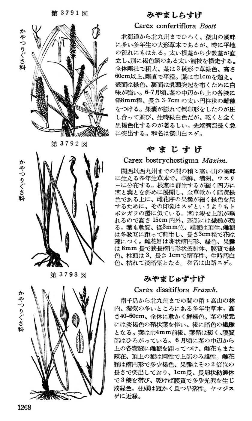 植物図鑑