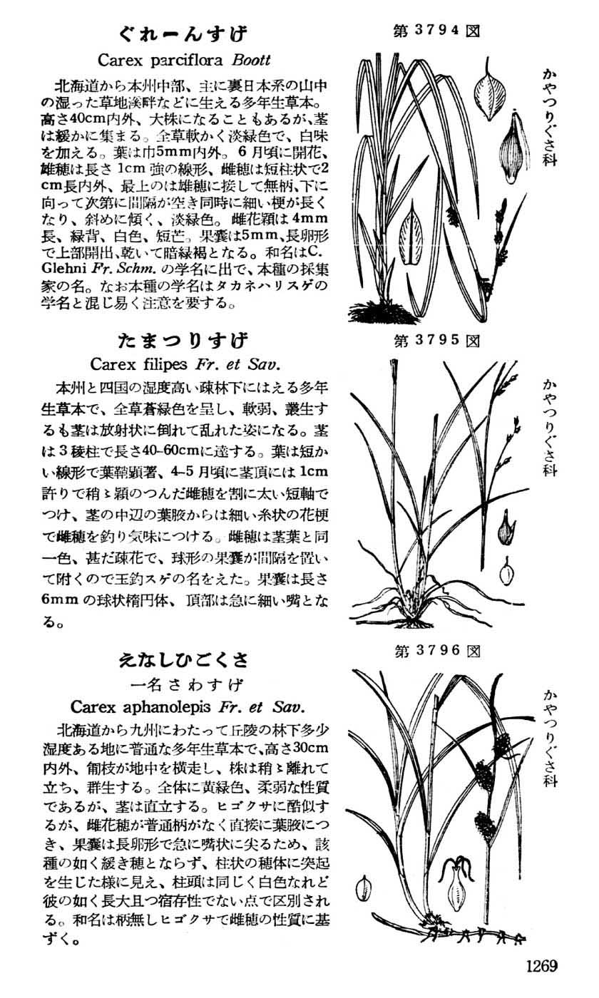 植物図鑑