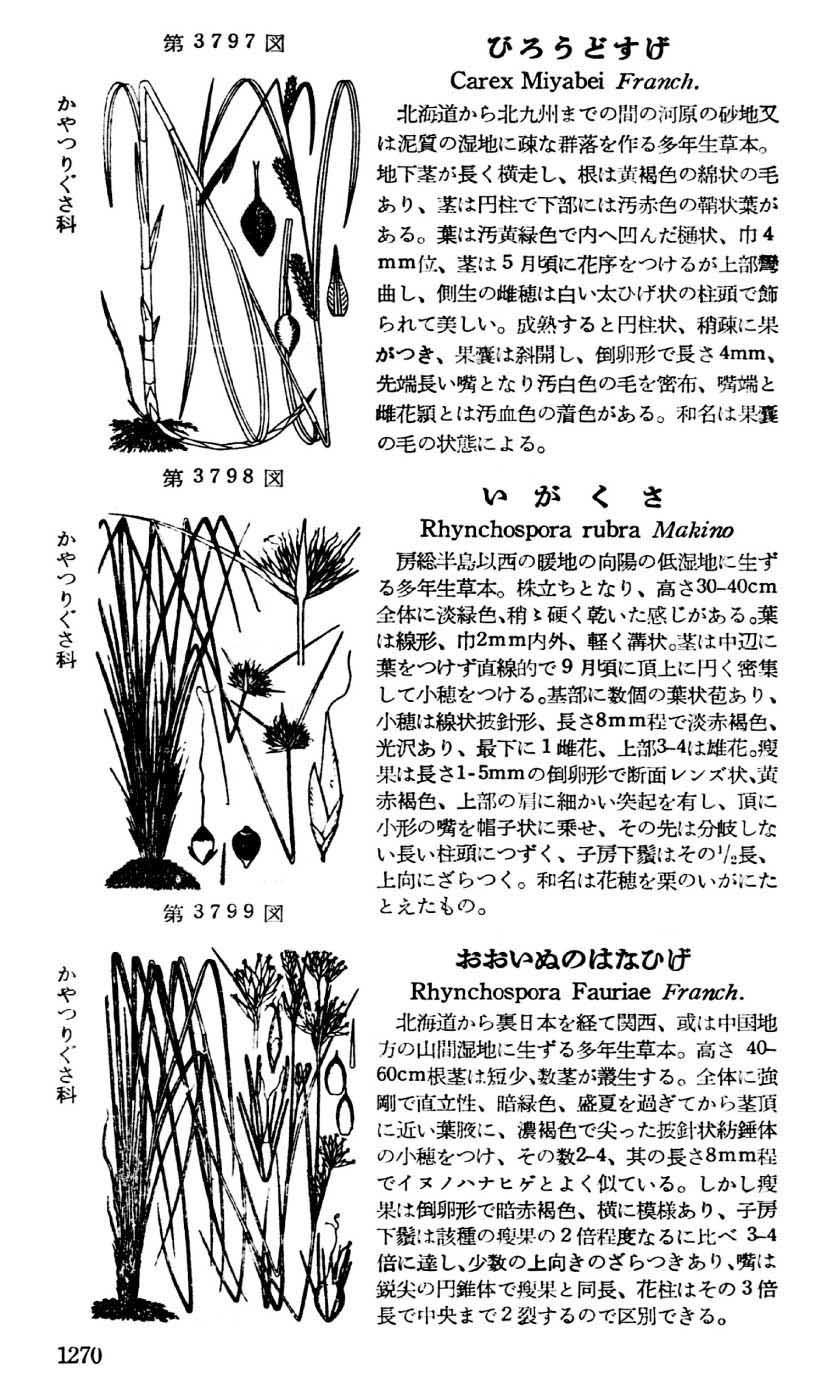 植物図鑑