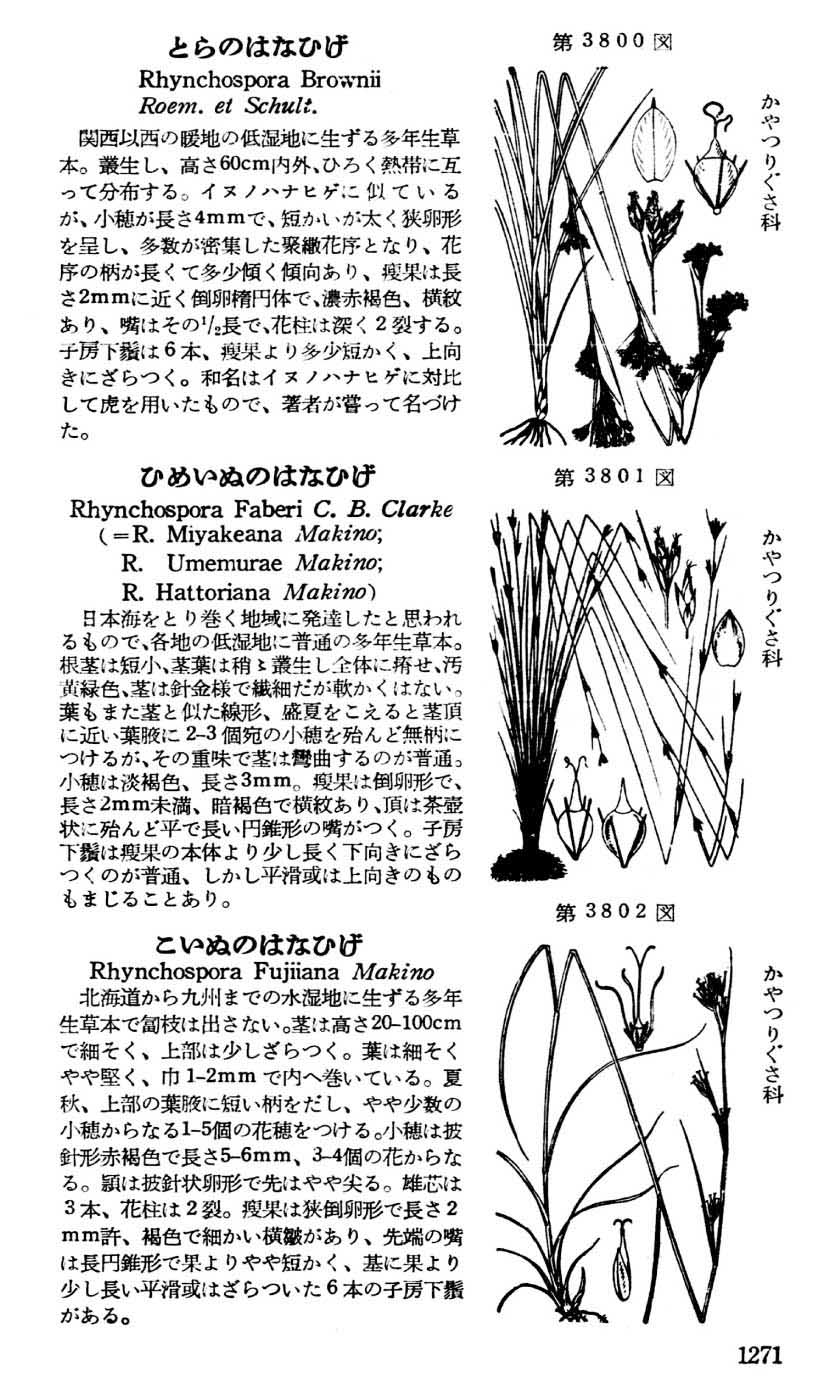 植物図鑑