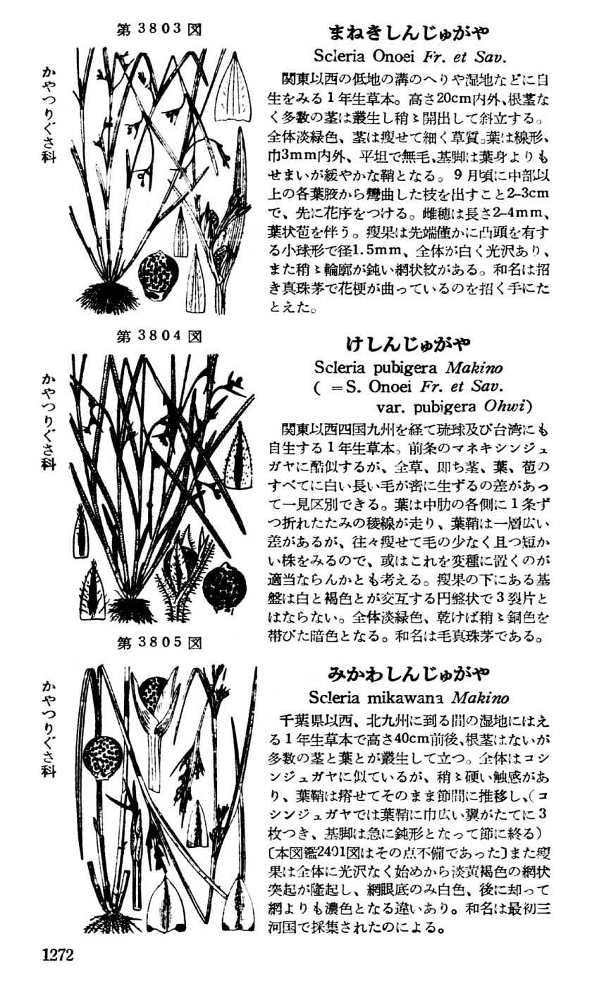 植物図鑑