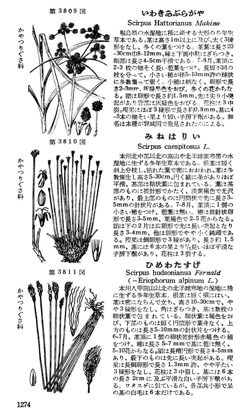 植物図鑑