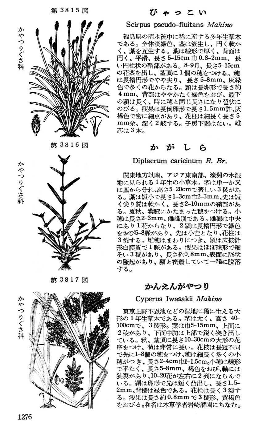 植物図鑑