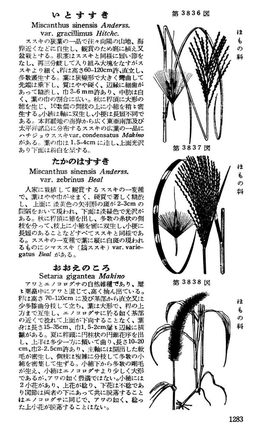 植物図鑑