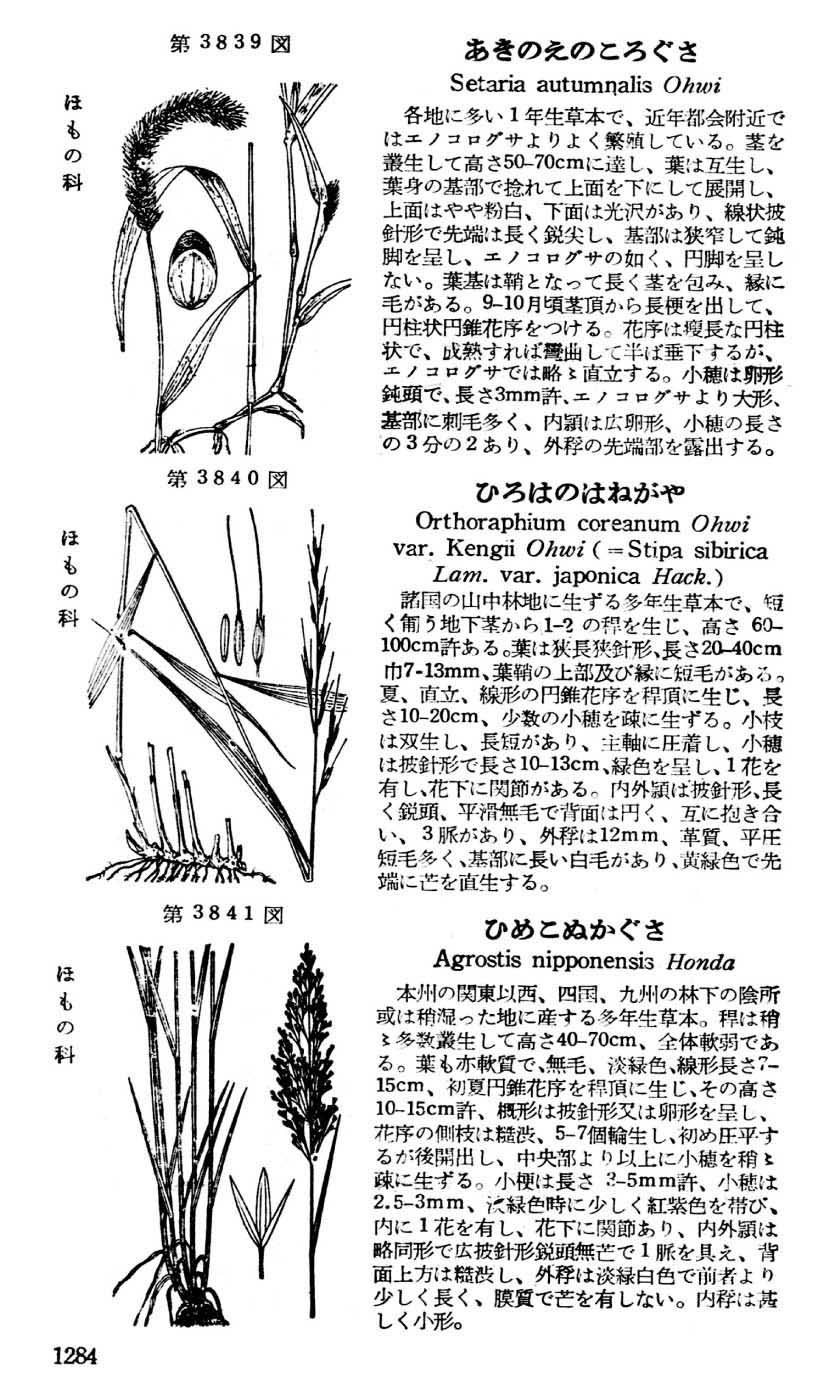 植物図鑑