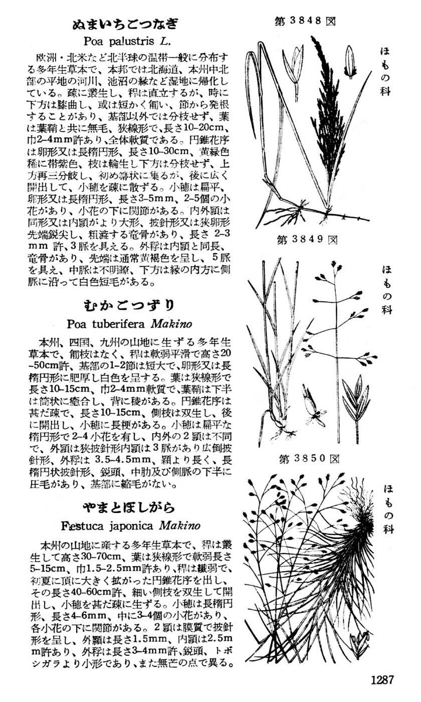 植物図鑑