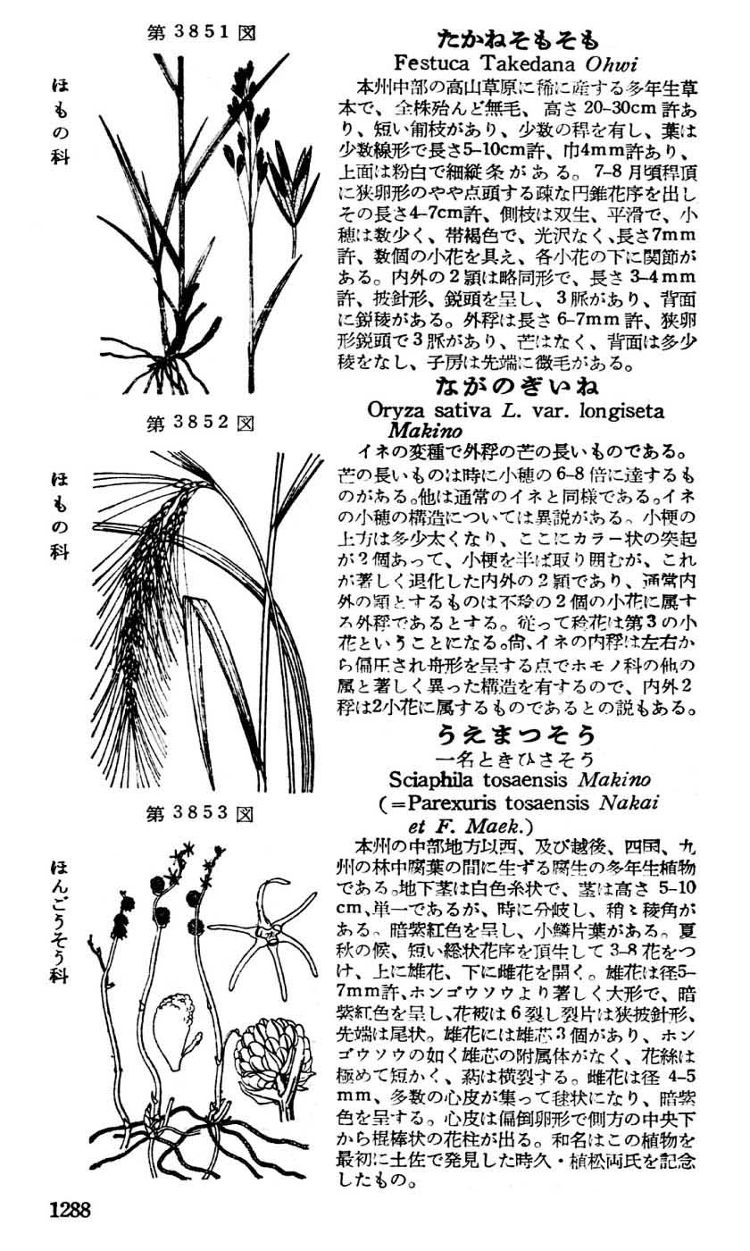 植物図鑑