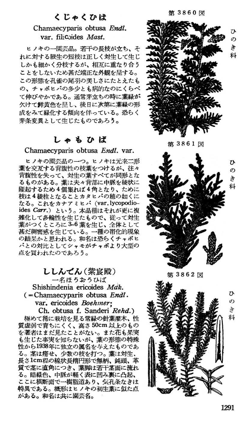 植物図鑑