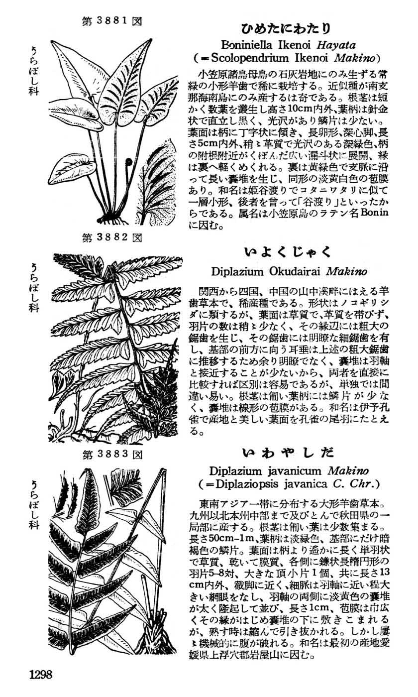 植物図鑑