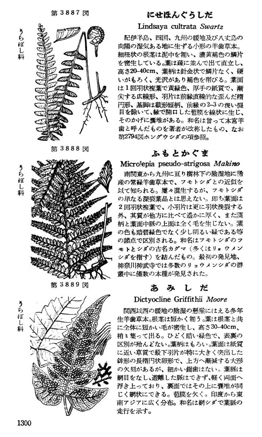 植物図鑑